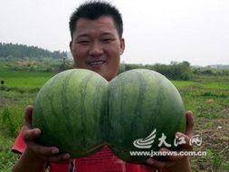 17吃瓜fun a圈惊天大瓜,揭秘娱乐圈不为人知的秘密风暴